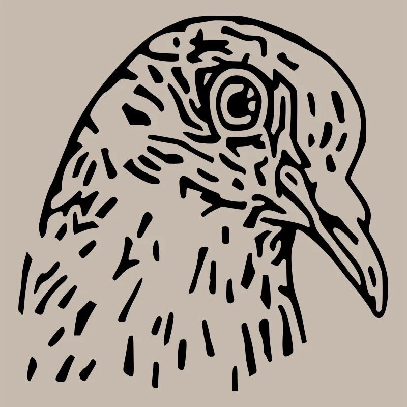 pigeon
