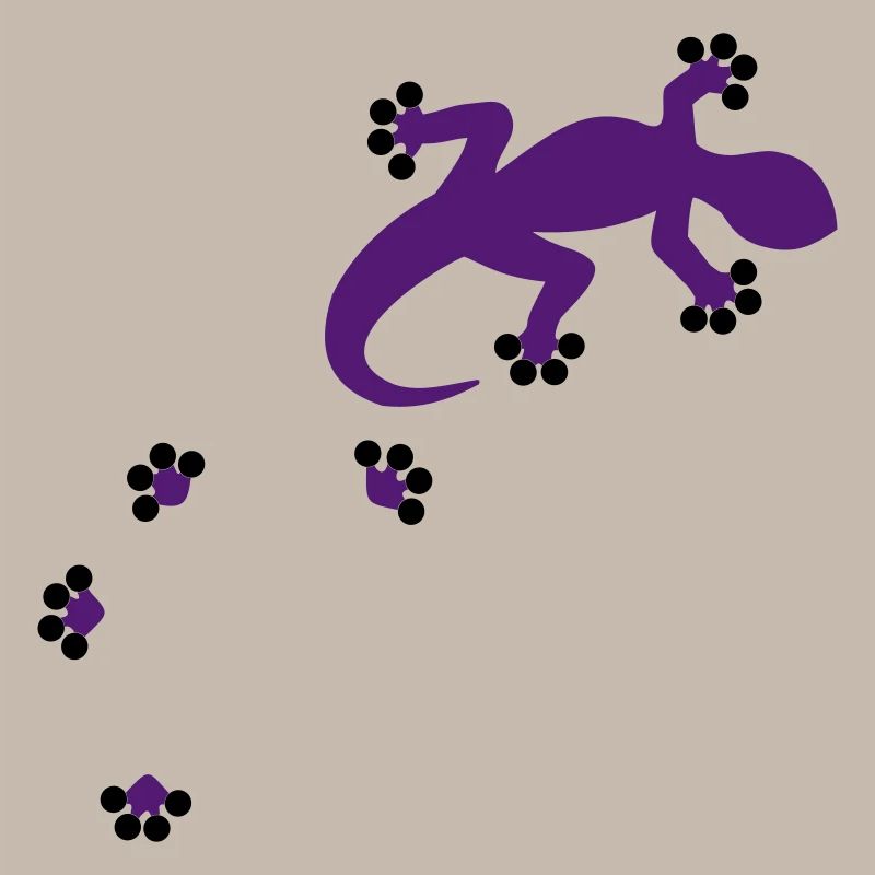 Gecko - 2c