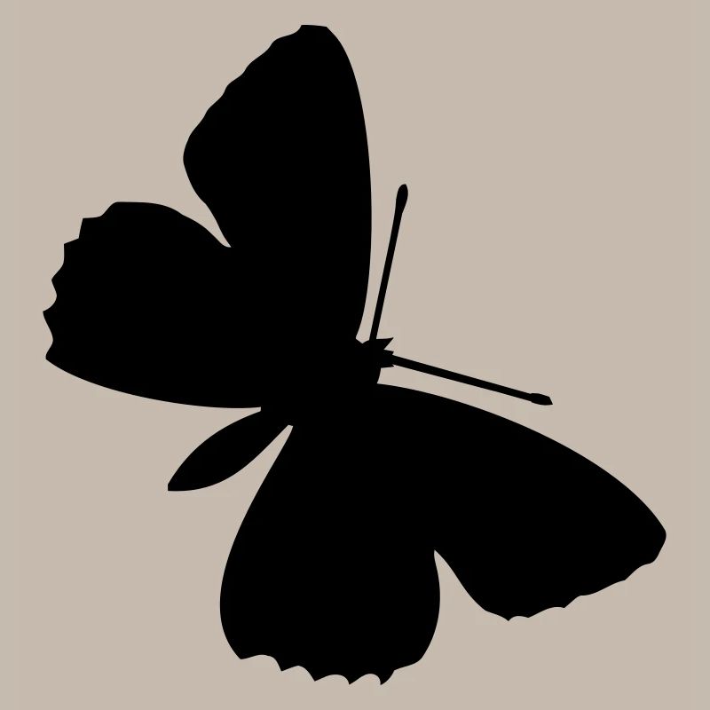 Schmetterlinge: Polyommatus Hippothoe