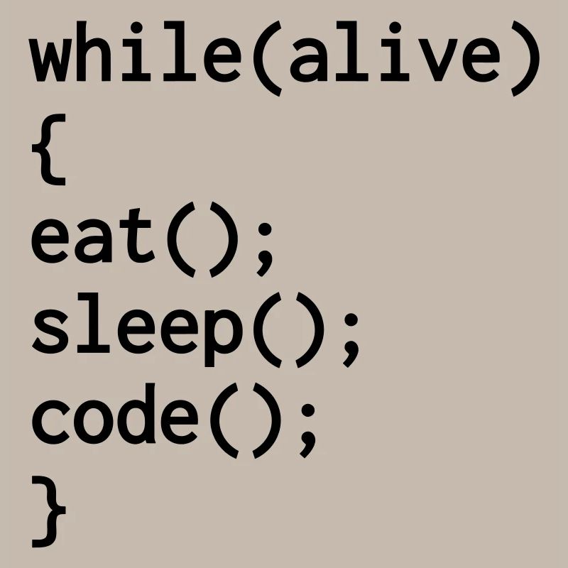 Entwickler / Informatiker / Programmierer /