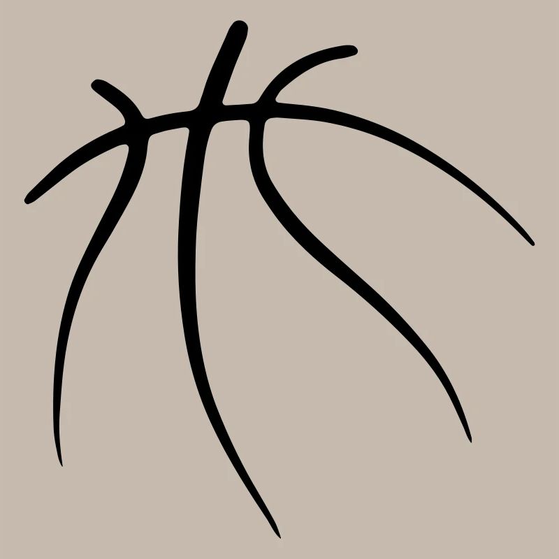 Basketball 31