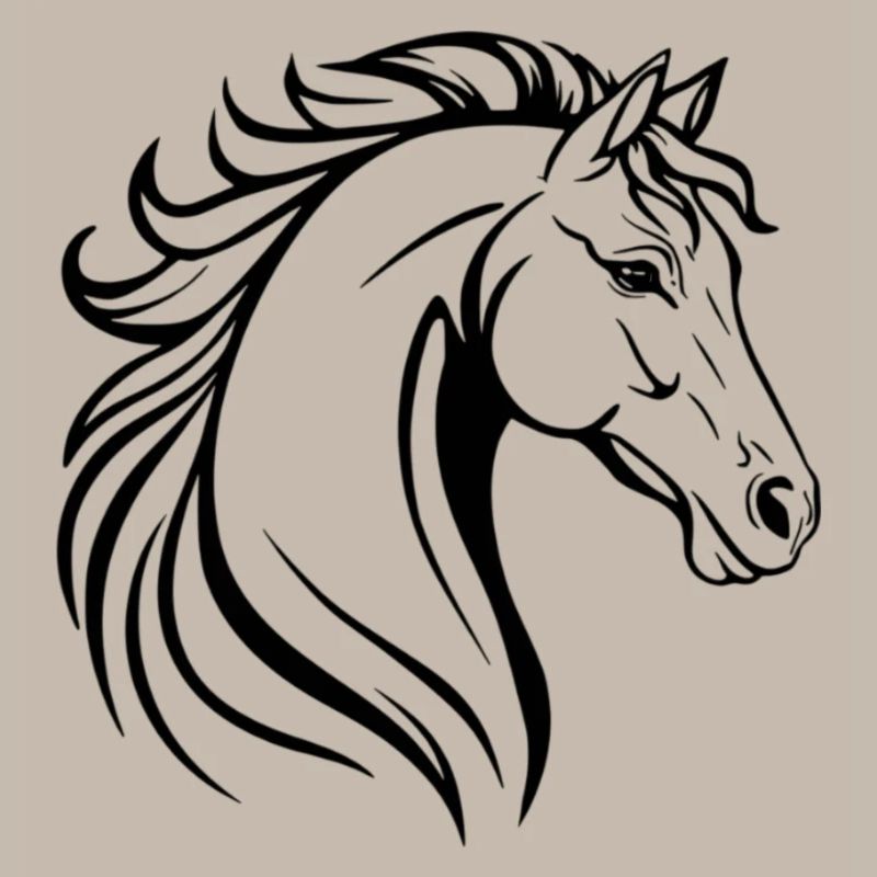 Pferd Illustration