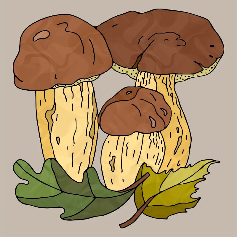 Mycètes