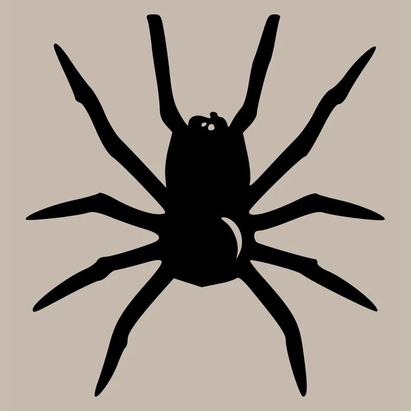 Araignée