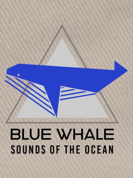 Blauwal -Klang des Ozeans