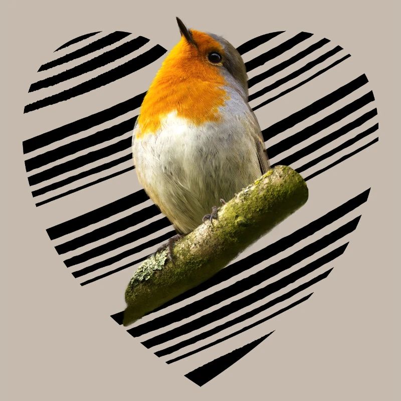 Rotkehlchen robin Erithacus rubecula