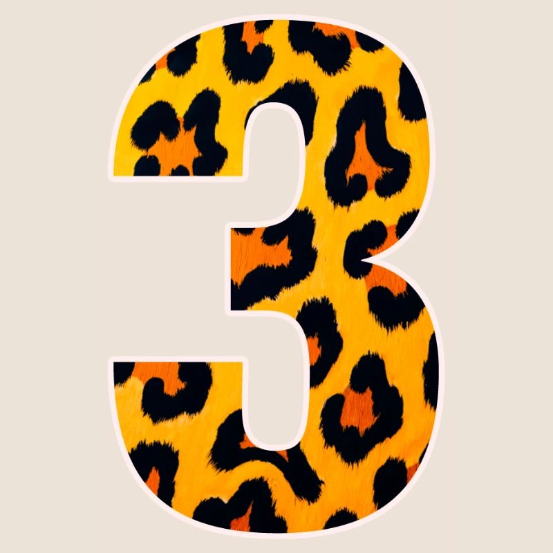 Leopard 3 Number Pattern