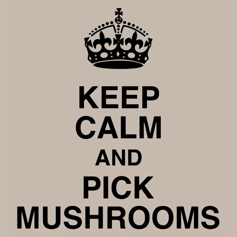 Chasse aux champignons / Champignon / Cueillette