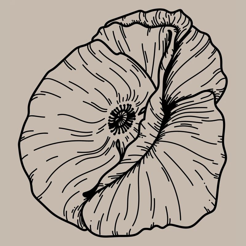 Fleur de coquelicot 20 Plan de travail 12