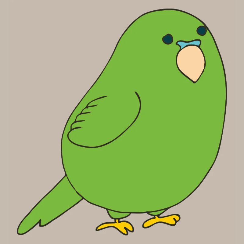 budgerigar