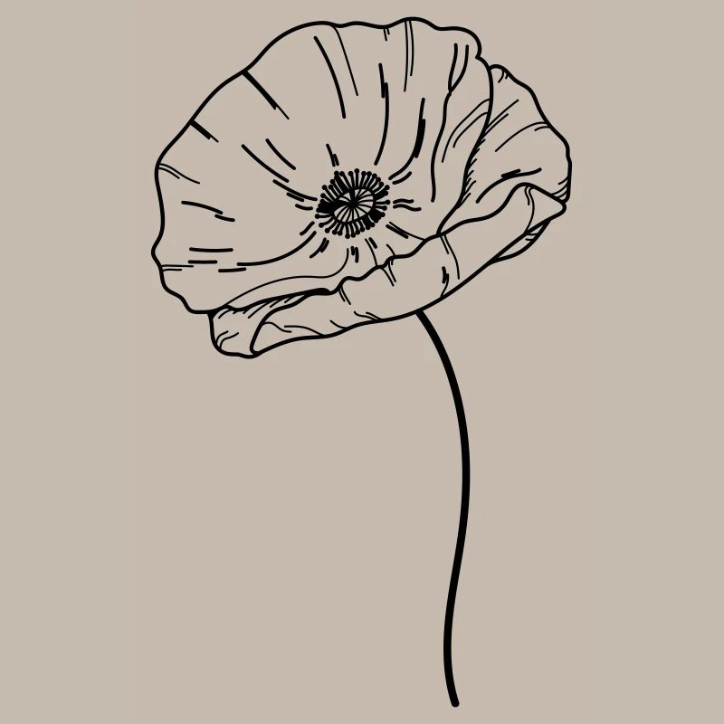 Fleur de coquelicot 21 Plan de travail 13