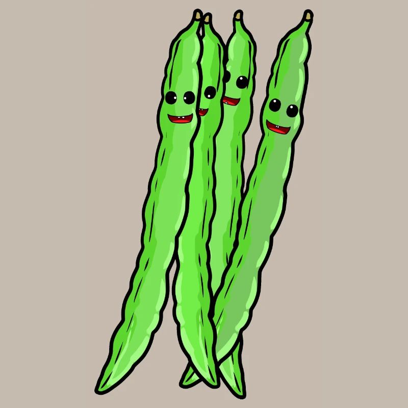 Haricots Haricots Légumes