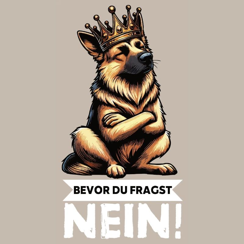 Before you ask German Shepherd Shepherds