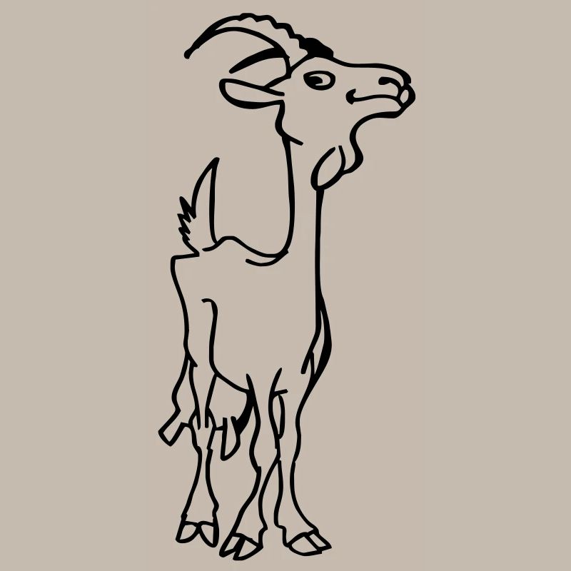 Goat kid
