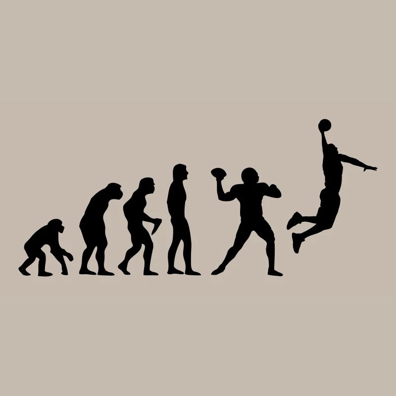 Basket-ball Evolution Basketball Basket