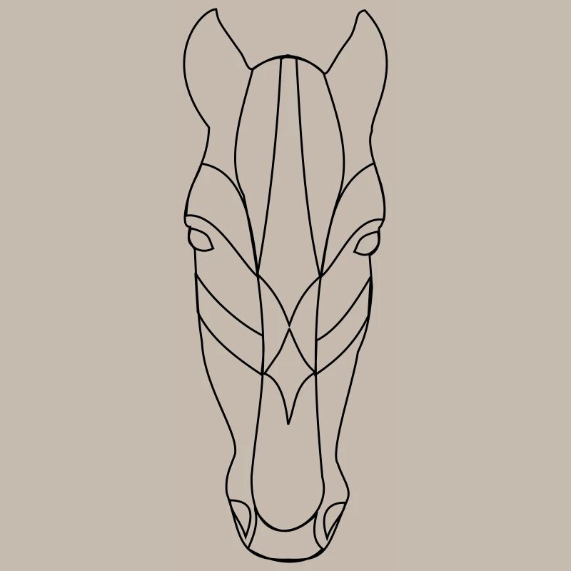 Pferd Geometrie