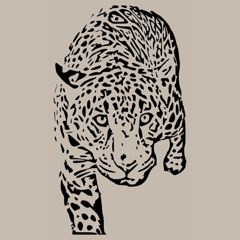 leopard schwarz schwarzer Leopard