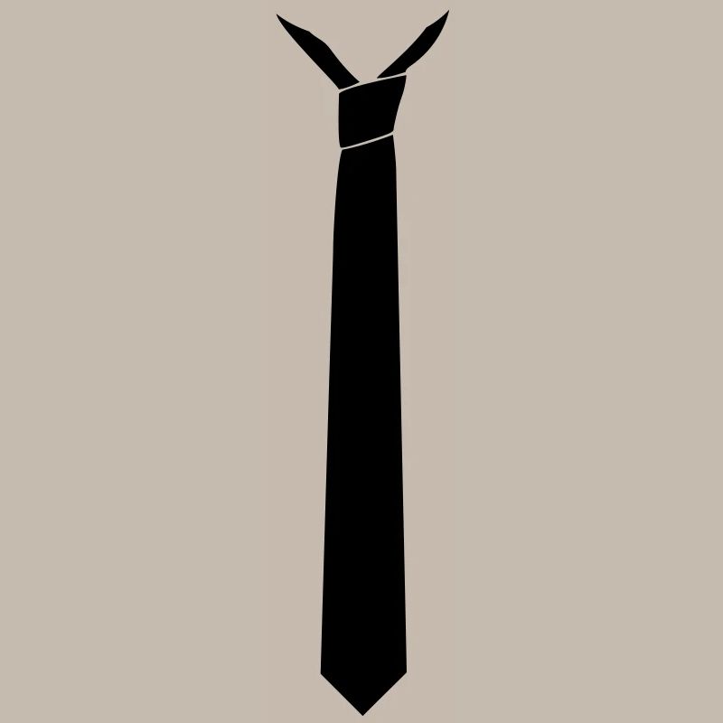 cravate style