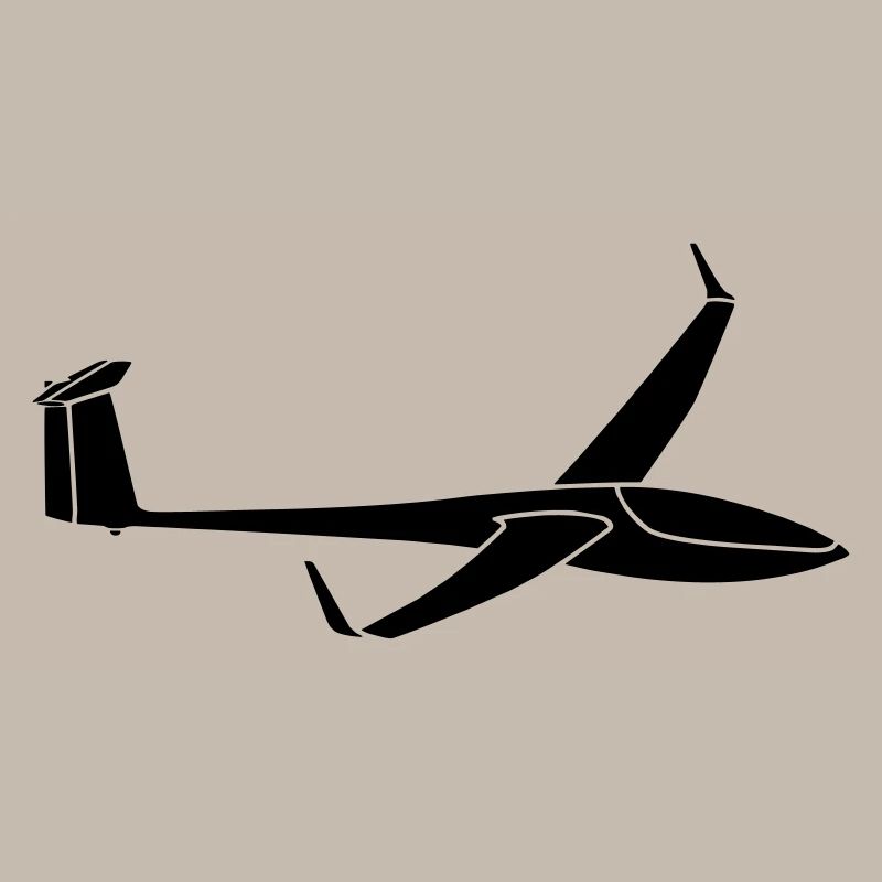 Glider "DG808" glider glider