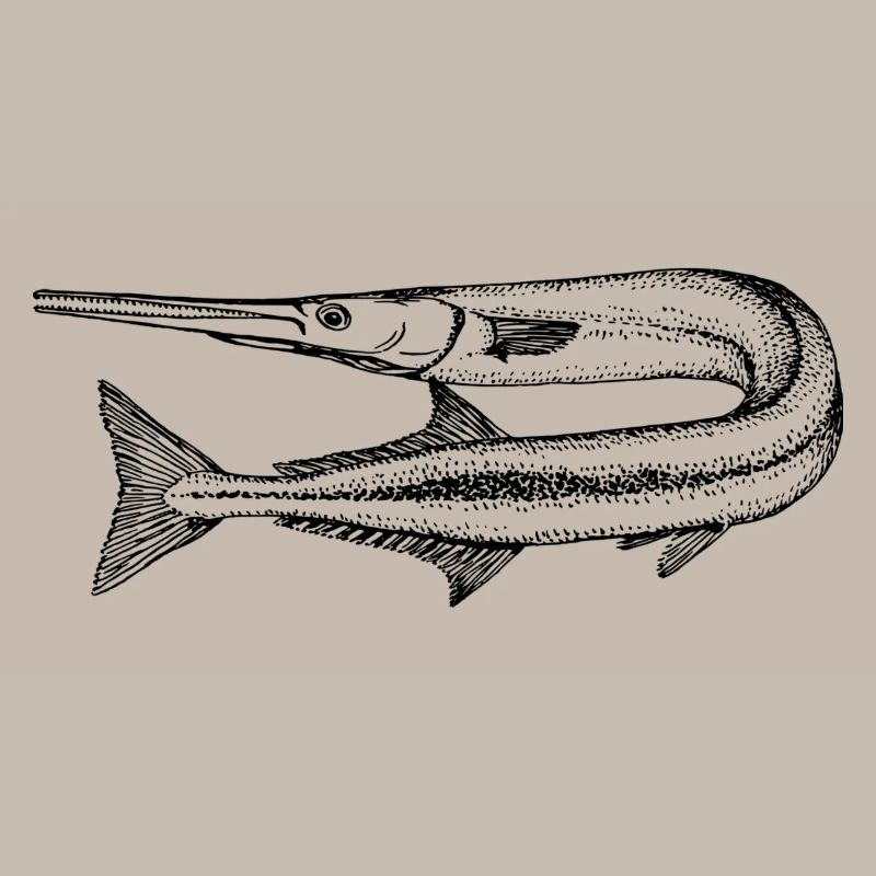 poisson
