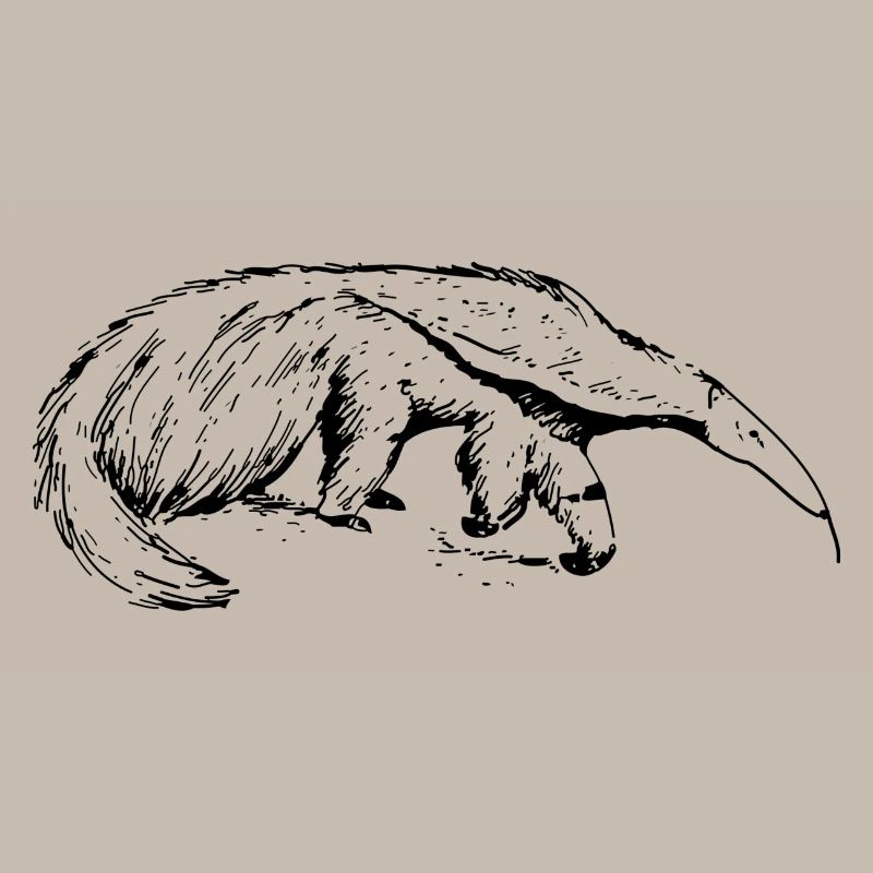 ant-eater