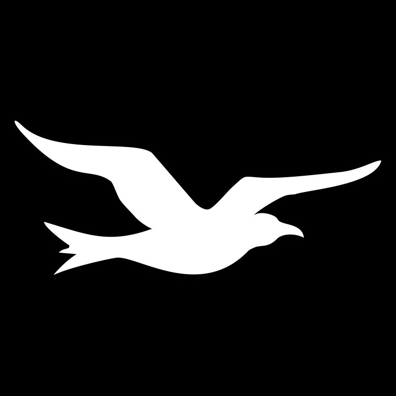 Mouette du cadeau de la côte