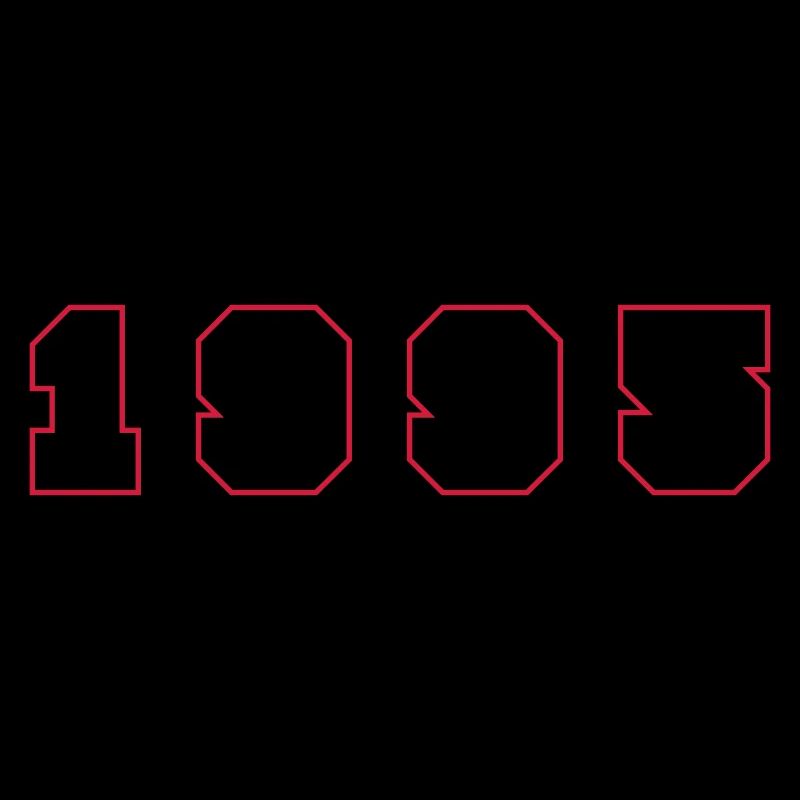 1995 Year Number
