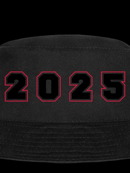 2025 Year Number