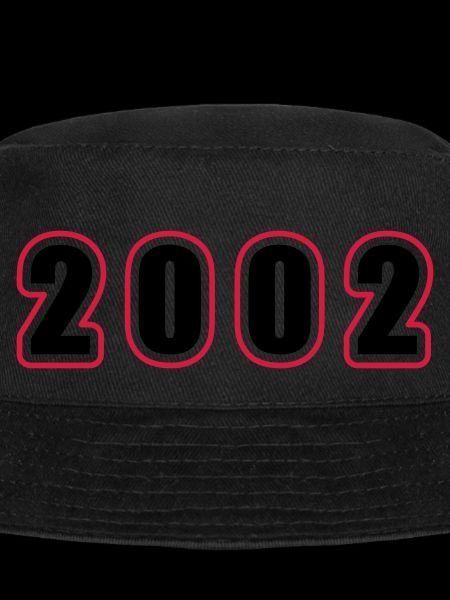 2002 Année Anniversaire