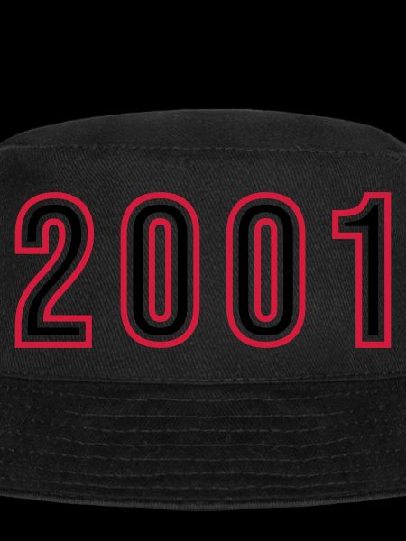 2001 Année Numéro