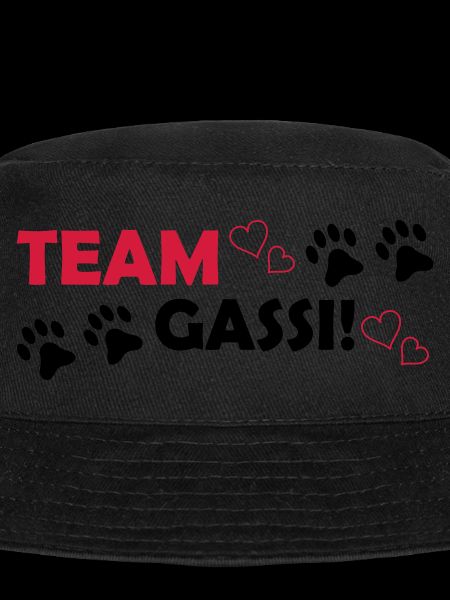 Team Gassi