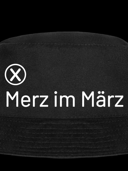 Friedrich Merz en mars
