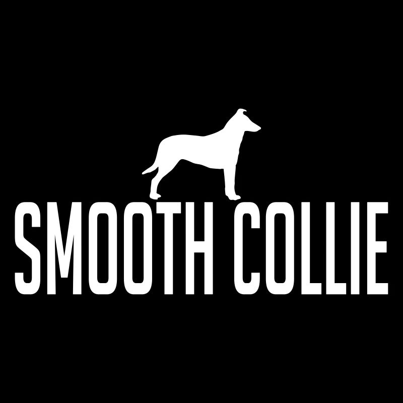SMOOTH COLLIE Chiens Chien Wilsigns Cheveux courts Collie