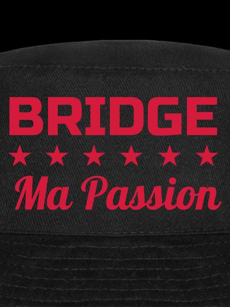 bridge / bridgeur / bridgeuse / cartes