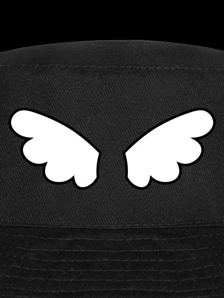 Ailes d'ange - ailes d'anges