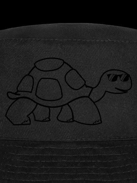 cool turtle