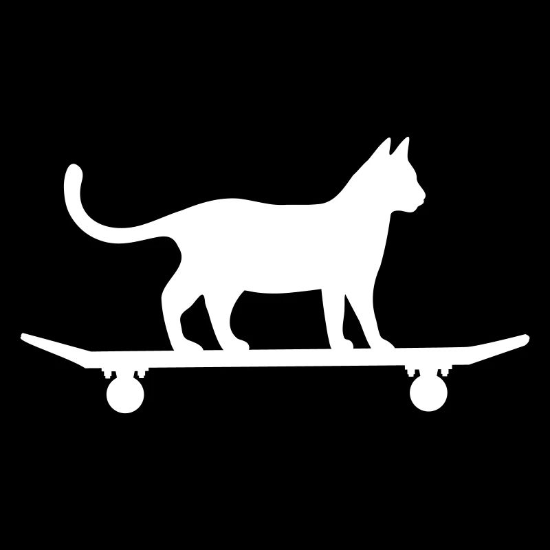 Chat sur skateboard
