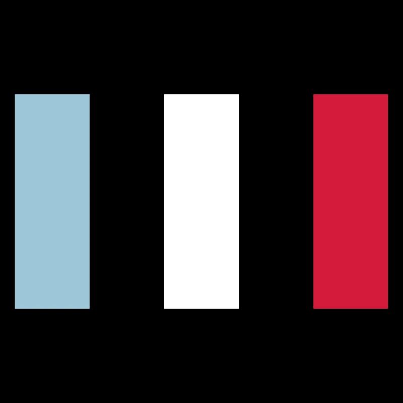 Flag - Stripes VECTOR