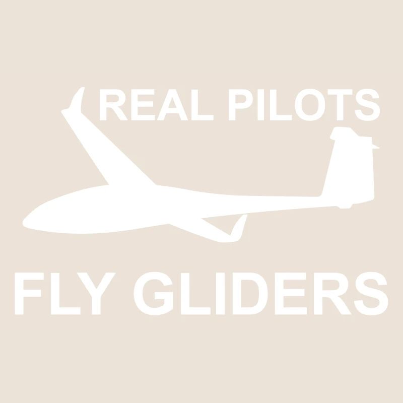 Real pilot glider pilot gliding glider