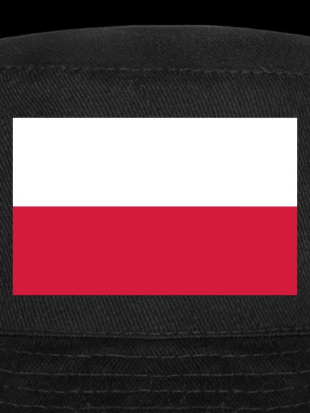 Drapeau de la Pologne