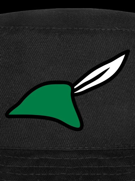 Robin Hood Hat