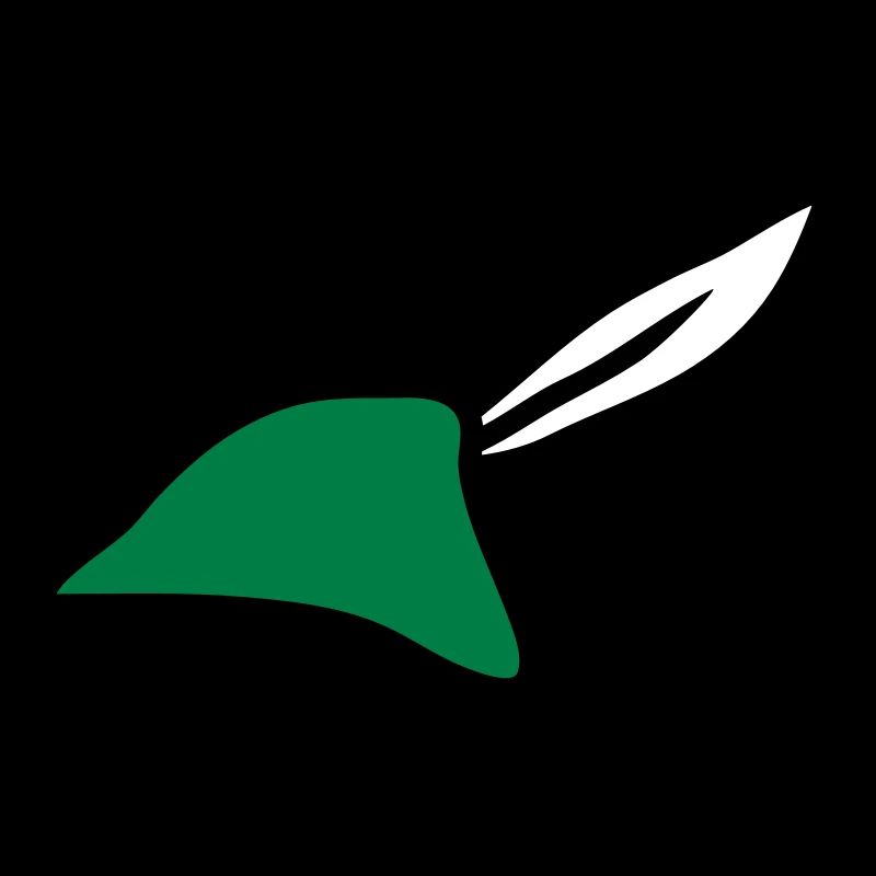 Robin Hood Hat