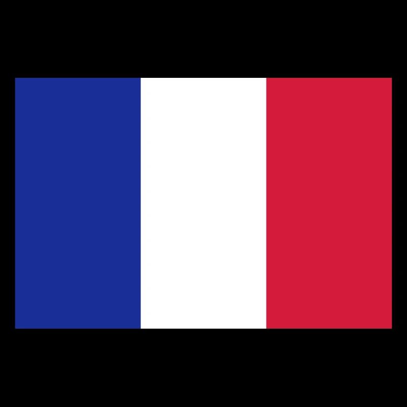 Drapeau français / French flag