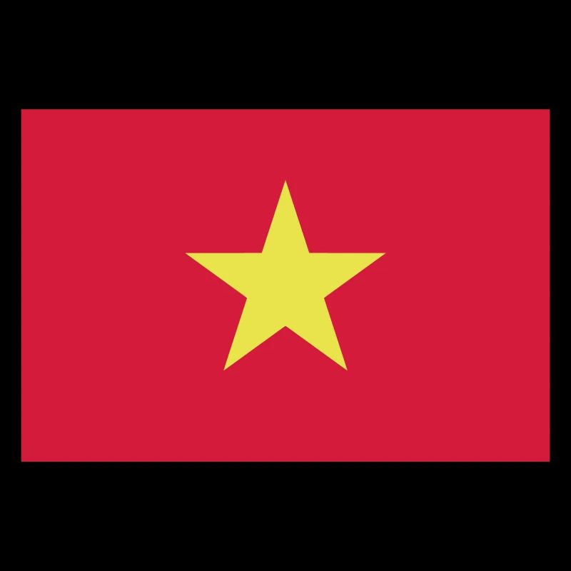 Vietnam flag / Drapeau Viêt Nam