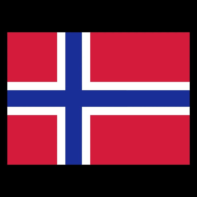Norway flag
