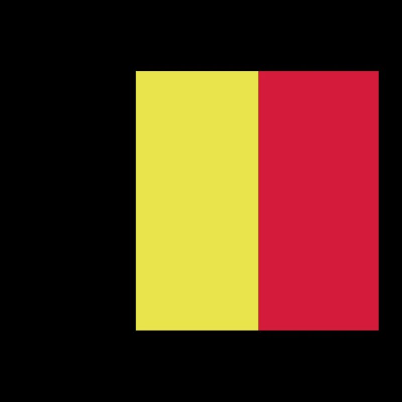 fahne belgien