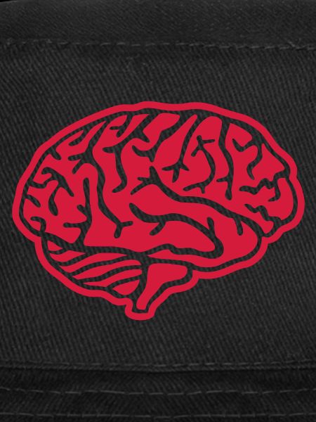 Cerveau