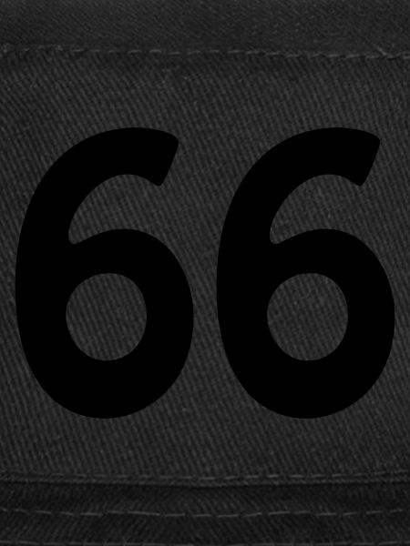 66