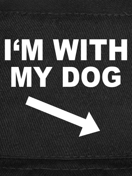 CHIEN