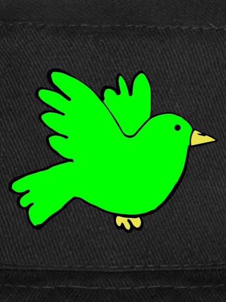 Couleurs des oiseaux